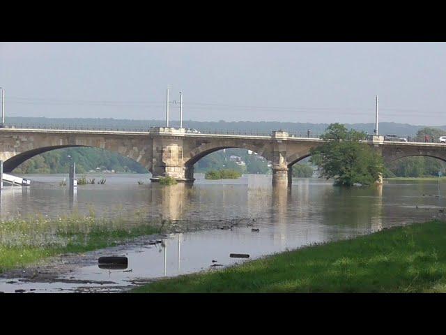 Hochwasser Dresden im September 2024 mit Blick auf die Raddampfer und die eingestürzte Carolabrücke