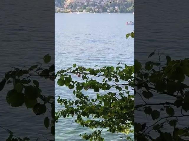 Tribschen, Schweiz, part 6,  Luzern, Switzerland, @yosha28