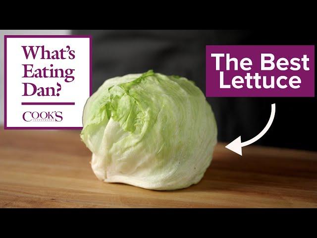 Admit it, Iceberg is the Best Lettuce | What's Eating Dan?