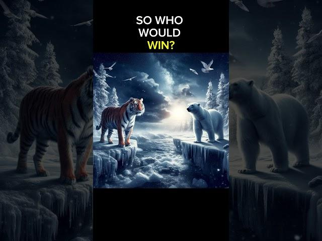 Siberian Tiger vs. Polar Bear–Who Will Win? #wildlifeshowdown #predatorvspredator #animalcombat