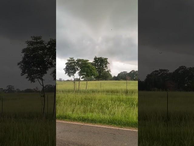 Recorded This Tornado In Missouri. Absolutely Amazing. #tornado #storm #tornadodamage #weather