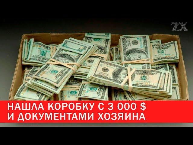 Нашла коробку с 3 000 $ и документами хозяина | Зона Х