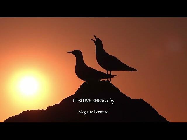 Relaxing Piano Music Positive Energy - Beautiful Calming Piano to Focus & Positivity #relaxingmusic