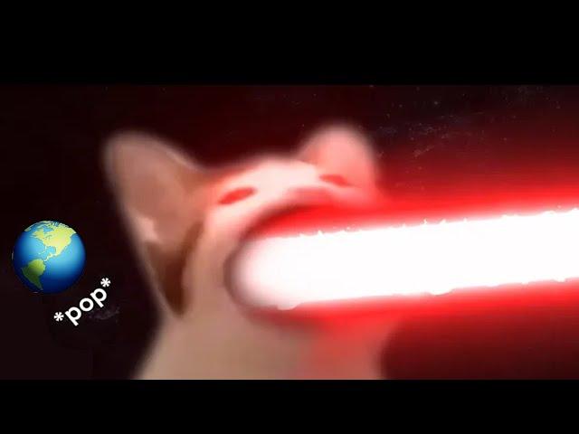 POPCAT destroys entire planet 