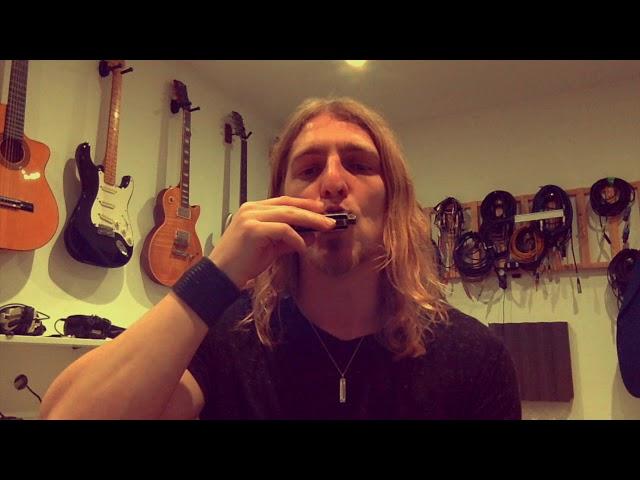 How to Breathe Correctly on Harmonica (Breath Control Lesson) Hold notes for over 40 seconds!