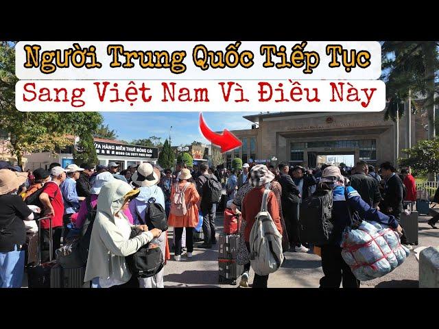 Người Trung Quốc Tiếp Tục Đổ Xô Sang Việt Nam Vì Điều Này ?