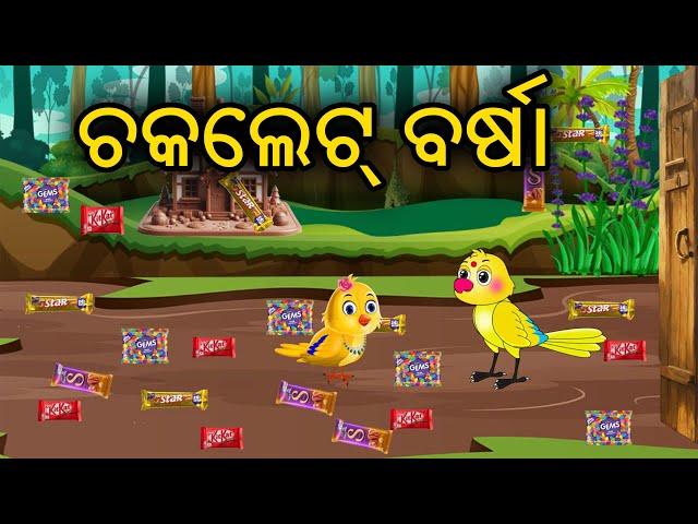 ଚକଲେଟ  ବର୍ଷା  || Birds Story || Odia Cartoon || Zoo Joo TV || Tiki Chadhei Gapo || Cartoon Comedy