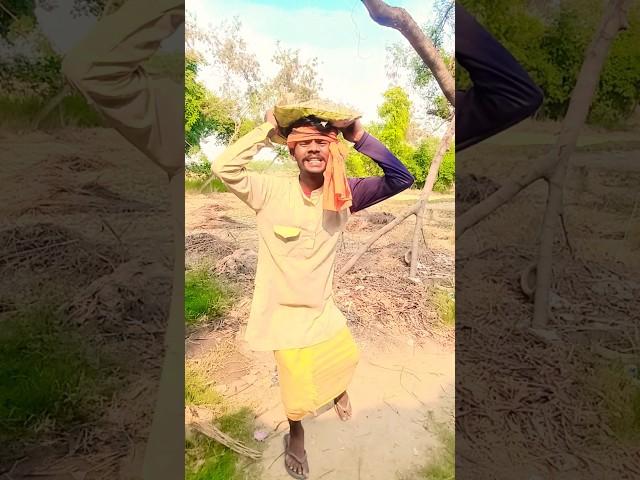 Nirgun Bhajan #nirgun#nirgunbhajan#shortvideo#shorts#short#trending#youtubeshorts#funny #song