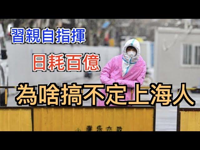 習亲自指挥, 每天損失100亿, 還是搞不定上海人!! 為何上海清零與眾不同? 漫談上海人為啥難搞定？