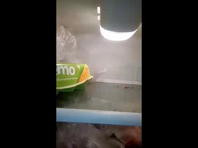 Как поменять лампочку в холодильнике Бирюса