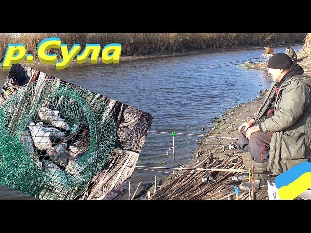 #СУЛА # Карась # Закриття сезону на фідер #РибачуЯкУмію