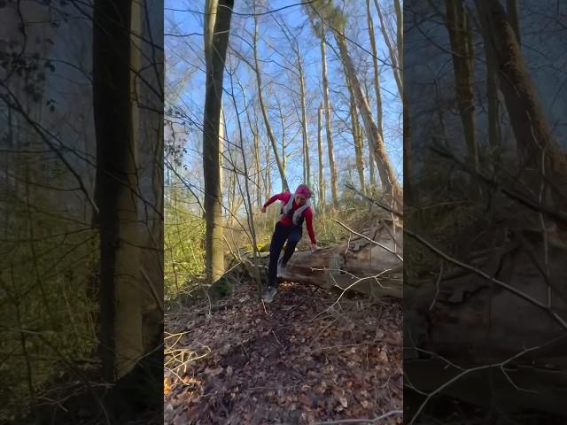 Jeden Tag den Frühling etwas entgegenlaufen. #trailrunning #running #laufen
