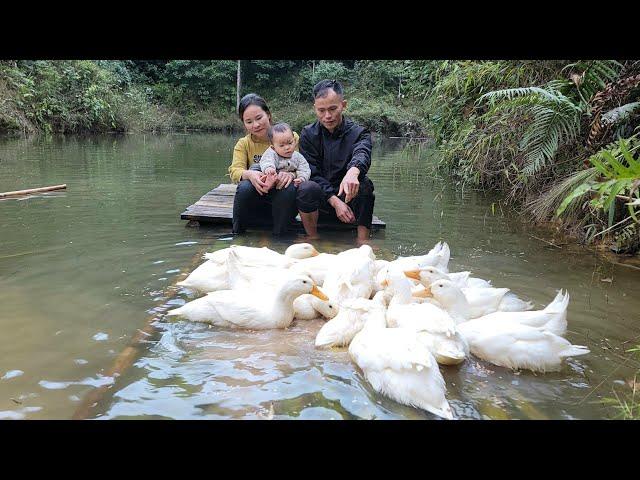 Full video: 120 days Harvesting bamboo shoots, lemons, popcorn and selling ducks - building a farm
