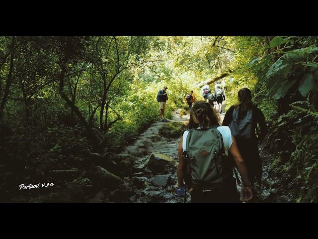 Hiking in the forests of Mexico City, Mexico with Portami Via