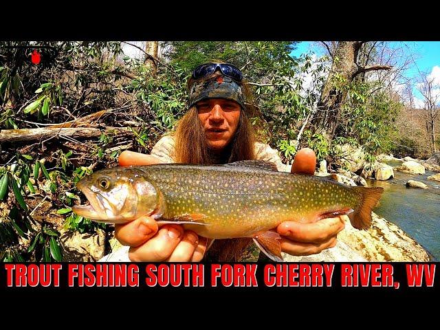 Trout Fishing Cherry River WEST VIRGINIA