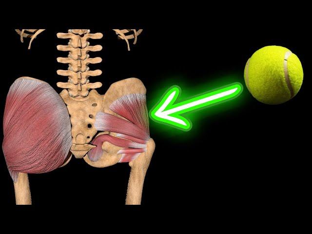 How to Use a Tennis Ball for Hip Rotator & Piriformis Relief