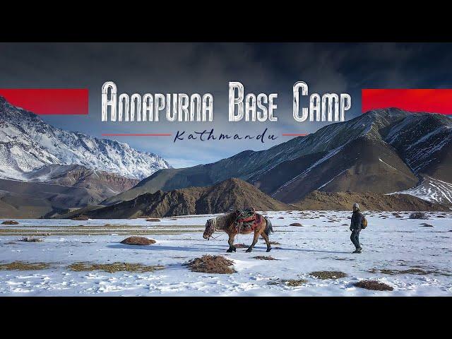 Annapurna Base Camp (ABC) | Trek The Himalayas