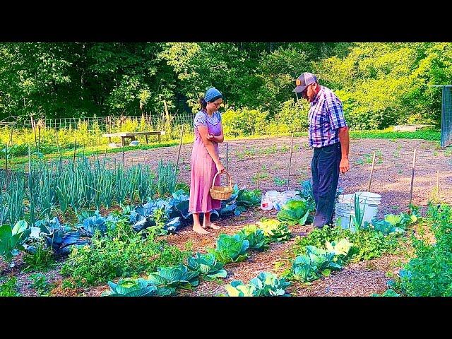 Our annual garden tour!