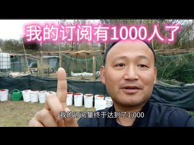 今天开始我从小小小博主变成了小小博主，订阅超过1000了，庆祝一下