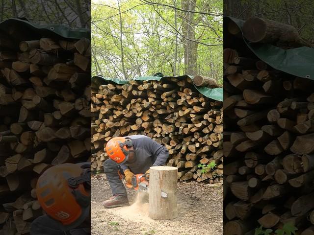 Chainsaw Carving a Stool