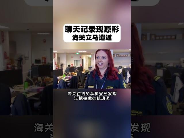 男子聊天记录现原形，使用旅游签找工作，海关立马遣返！#海外生活 #海外工作 #出国