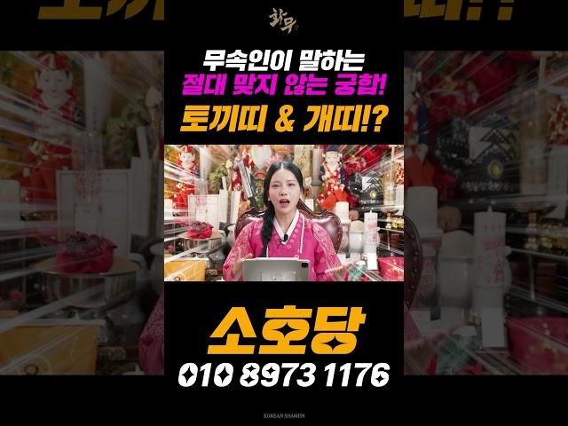 절대 맞지 않는 띠 궁합! 토끼띠와 개띠..? 인연 재회로 유명한 무속인이 말한다! #shorts #용한점집 #유명한점집