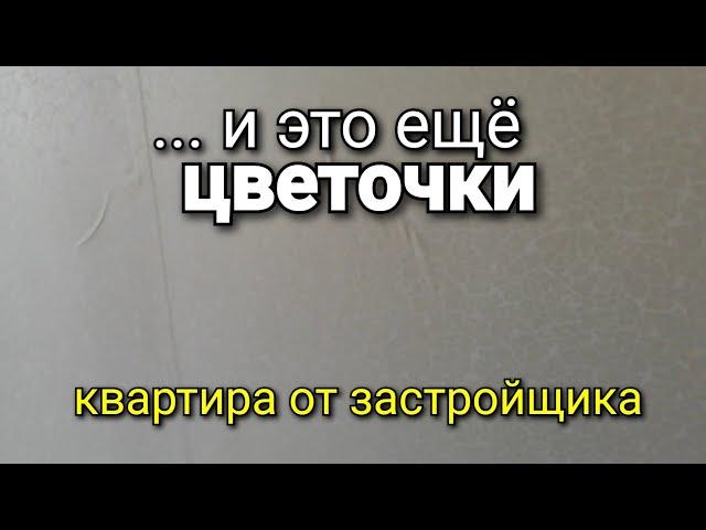 Квартира от застройщика с РЕМОНТОМ. Стоит ли брать? Наглядный пример. Ремонт квартир.