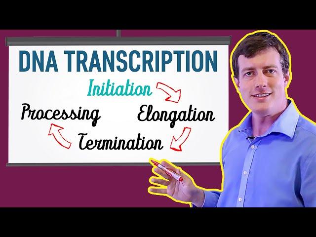 DNA Transcription Made EASY | Part 1: Initiation 