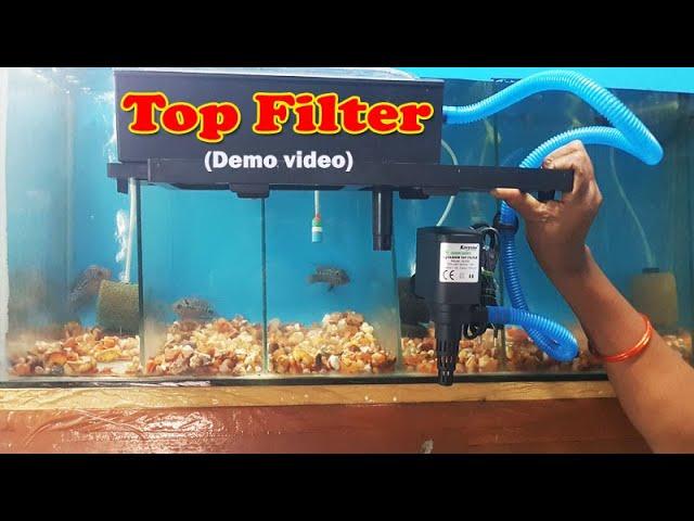 How to set up Top filter along with filtration media ? | Demo Video|