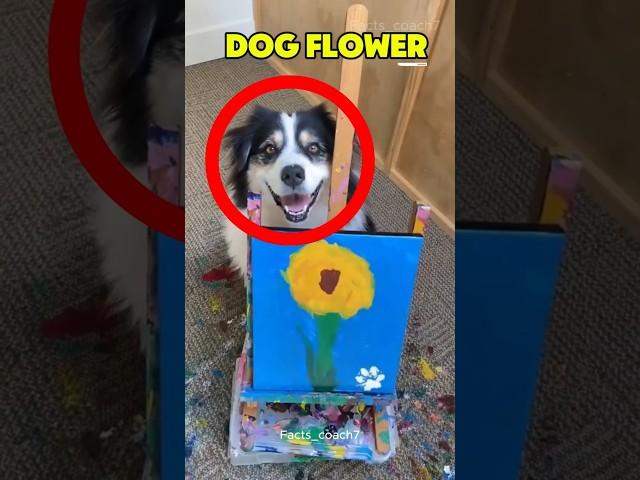 Dog Paints a Flower with Her Mouth ️