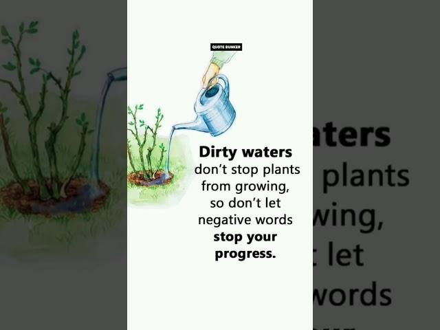#water #grow #progress #quotes #status #quoteoftheday #quotesaboutlife #words #thoughts #shorts