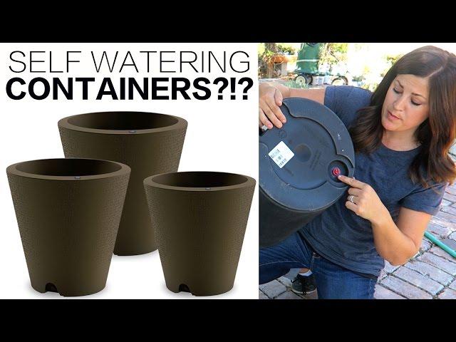 SELF WATERING CONTAINERS!?!