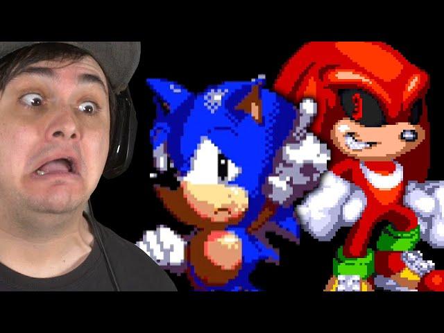 NEVER PIRATE SONIC AND KNUCKLES!