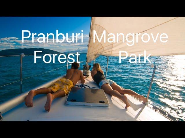 Hua Hin Pranburi Mangrove Forest Park Beautiful BOAT TRIP