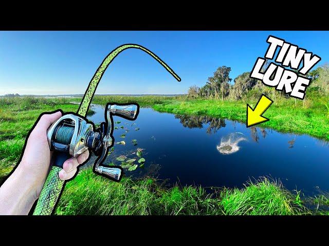 1v1v1 Tiny Lures ONLY Bass Fishing Tournament (INSANE)