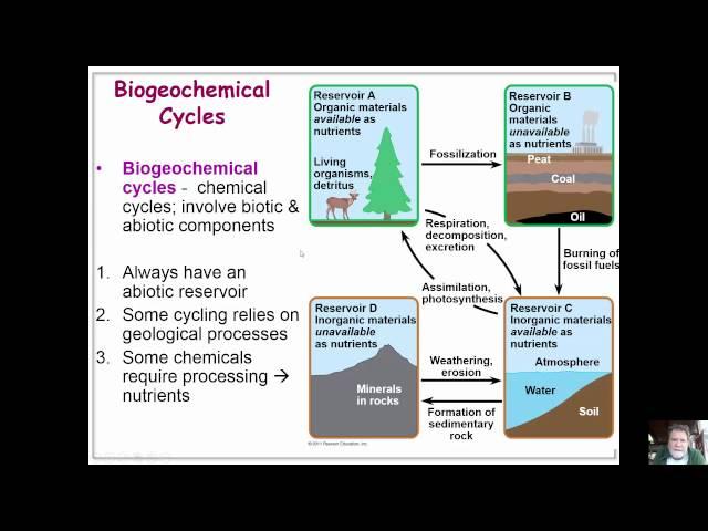 ecosystems and restoration ecology