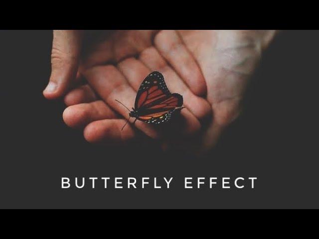 The Butterfly Effect.