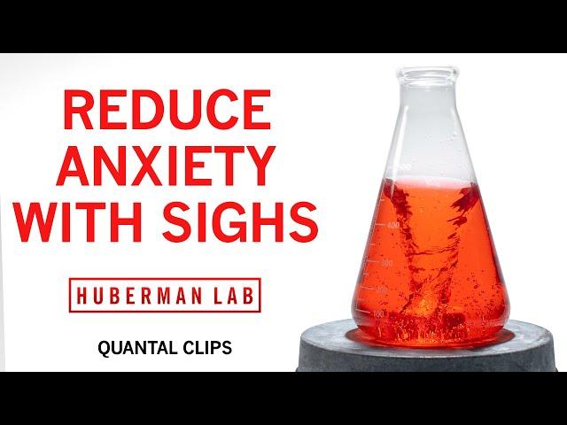 Reduce Anxiety & Stress with the Physiological Sigh | Huberman Lab Quantal Clip