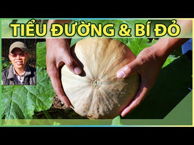 TIỂU ĐƯỜNG & BÍ ĐỎ - hy vọng trong vườn.