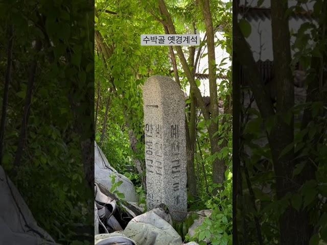 풍산읍 괴정리 수박골에 남아있는 (안동-예천) 옛 경계석 #shorts