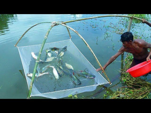 Amazing Monsters Catch Fish How to Catch Fish With Bamboo & Net Fish Trap By Using Bamboo With Net