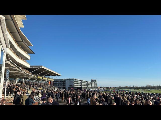 An Honest Day Punting - Newbury 