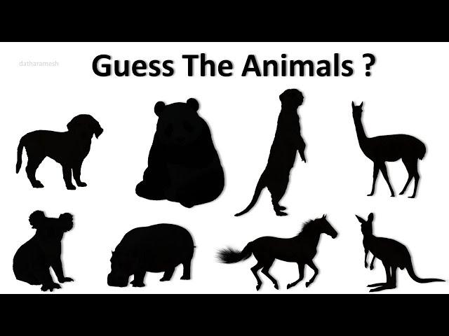 Guess the Animal by Shadow | Guess the Animal Quiz