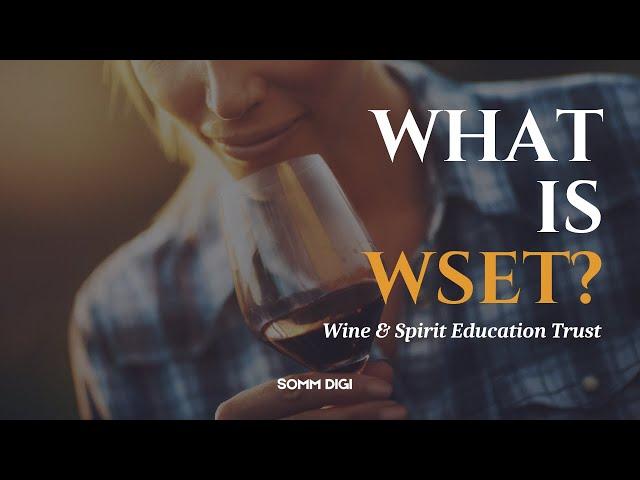 What is WSET ? Wine and Spirit Education Trust. Basic explanation about WSET #wine #wset