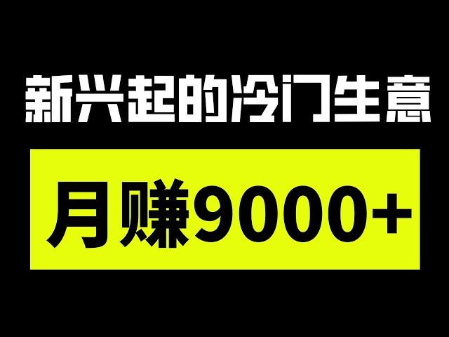 新手网赚，分享网上赚钱项目！一个刚兴起的冷门赚钱项目，月赚9000+，内附赚钱渠道，新手小白轻松可上手！