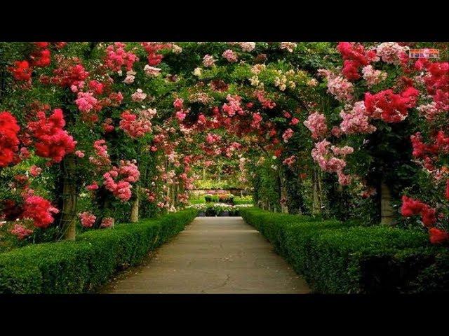 The Most Beautiful Gardens in Europe