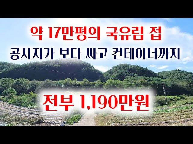 [1385-2][땅매매] 매가1,190만원에 수종의 유실수가 식재 되어 있고 컨테이너가 있는 소액 땅매매