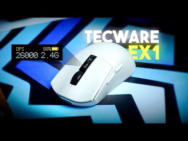 OLED Display in a Gaming Mouse?  - Tecware EX1 Review