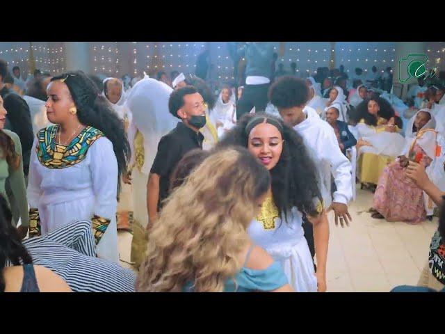 Eritrea Wedding Gayla music Wedi Ali 2025 best wedding