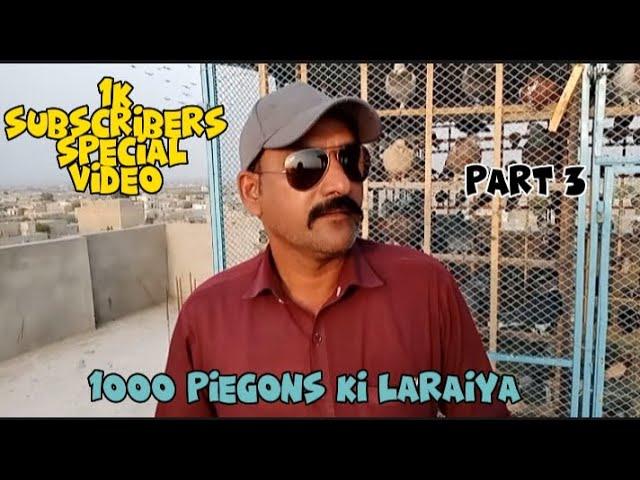 1000 Piegons Ki laraiya | 500 Salam Ustaad Ky | 500 Naeem Ustaad Ky | | Part 3 | | 1k Special |